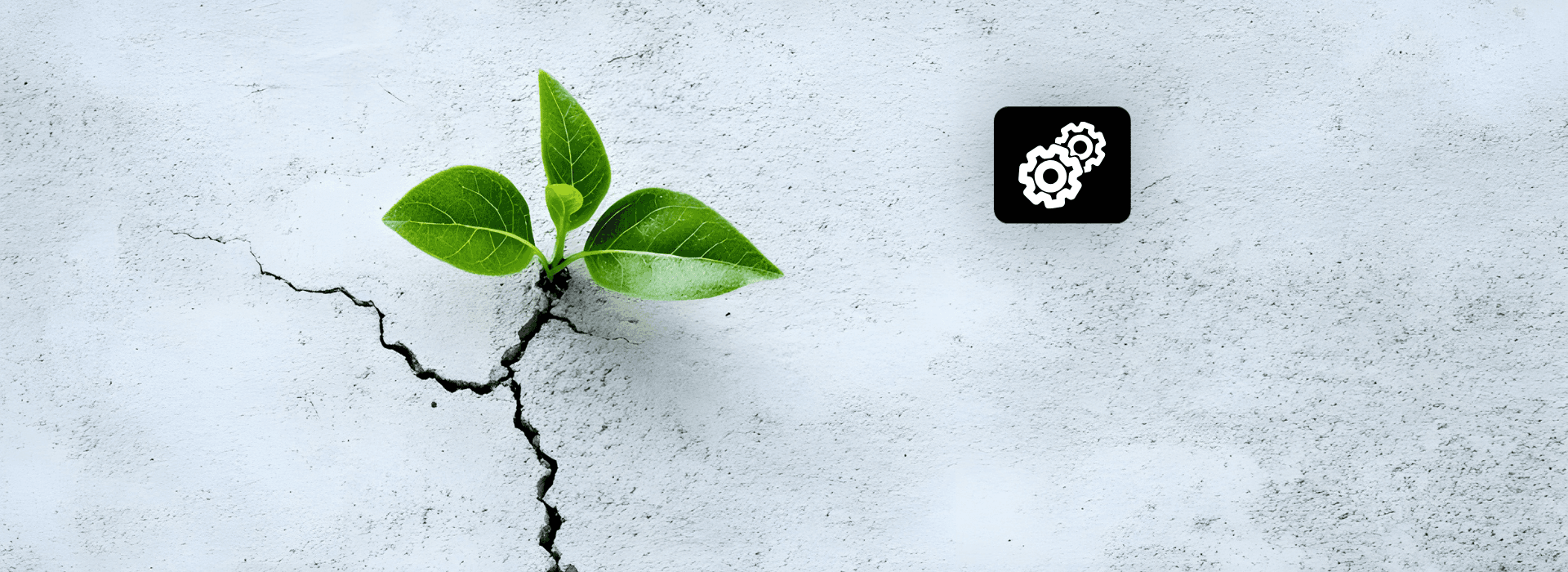 How your integration responds to inevitable payment errors determines whether a failed transaction becomes a recovered sale or an abandoned cart.