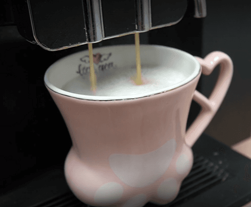 New cat café has pawsitively purr-fect payments experience thanks to Worldpay.